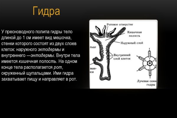 Ссылка на кракен через тор