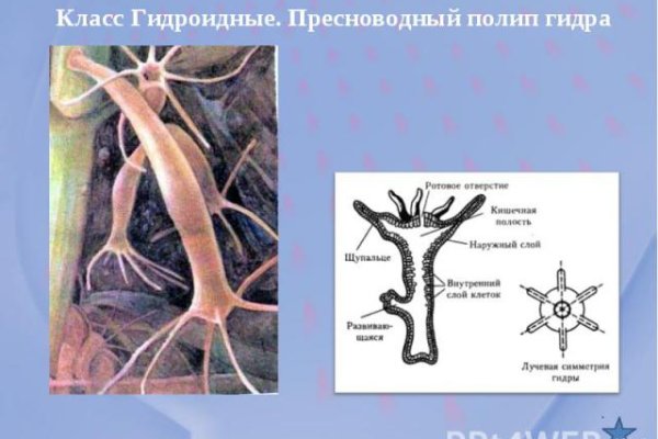 Что такое кракен маркет