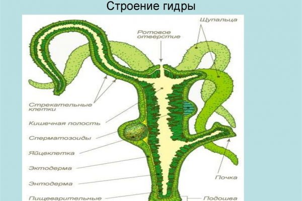 Clear ссылка на кракен